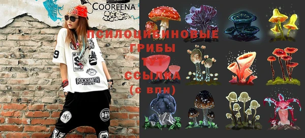 МДПВ Бикин