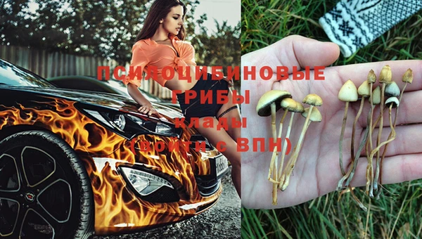 PSILOCYBIN Нея